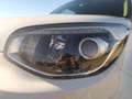 Kia Soul Limited 1.6 CRDi Weiß - thumbnail 15