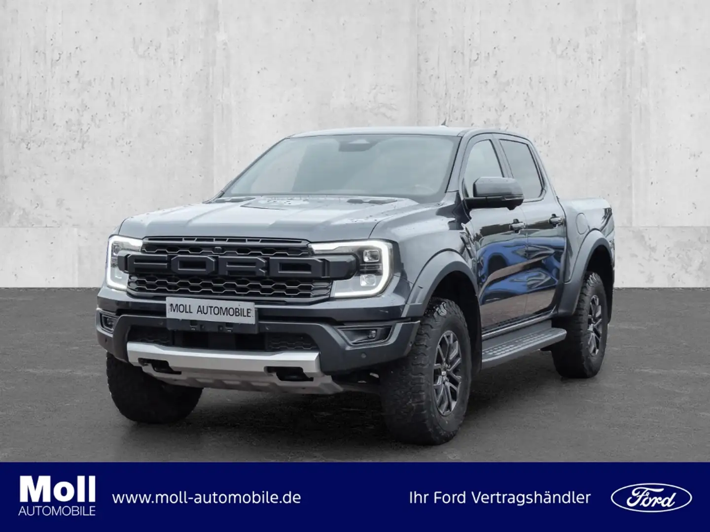 Ford e-4WD Doppelkabine 3.0 Ecoboost EU6d AHK-abnehmbar Gris - 1