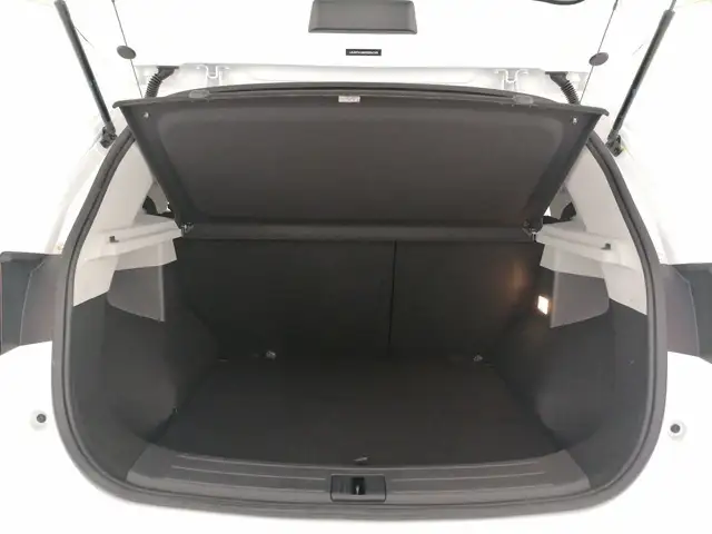 MG ZS view 10