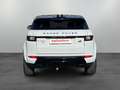 Land Rover Range Rover Evoque Black 4M / Pano, Navi, LED Blanc - thumbnail 5