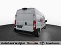 Toyota Proace Max H2 Kasten 35 L3H2 BlueHDi 140 Meister Blanc - thumbnail 4