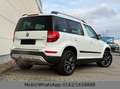 Skoda Yeti Ambition Outdoor 4x4 Automatic Weiß - thumbnail 4