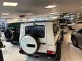 Mercedes-Benz G 55 AMG - G-Modell Station G 55 AMG- Designo Bianco - thumbnail 15