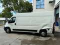 Peugeot Boxer Kasten Hochraum 335 L3H2 Premium BlueHDi 1 Weiß - thumbnail 4