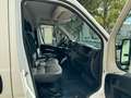 Peugeot Boxer Kasten Hochraum 335 L3H2 Premium BlueHDi 1 Weiß - thumbnail 8