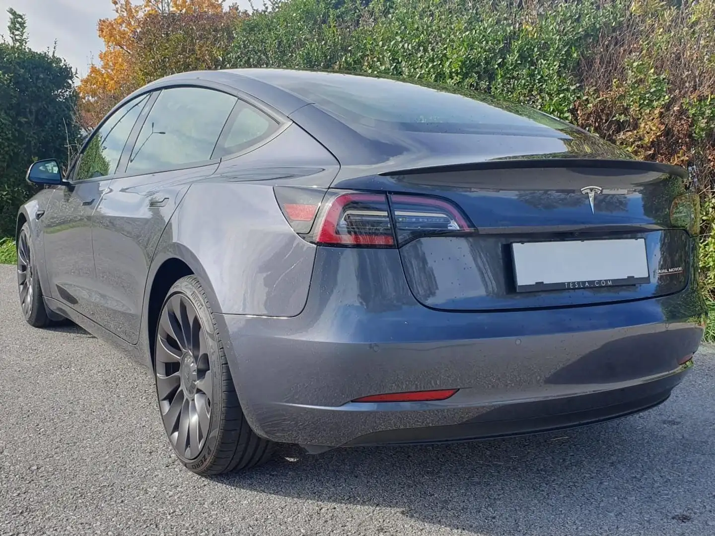 Tesla Model 3 Model 3 Performance *MwSt* Grau - 2