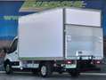 Ford Transit FORD 2.0 ECOBLUE 130 CV L4 PAQUETERA CON T Blanco - thumbnail 3