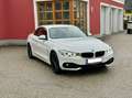 BMW 428 428i xDrive Cabrio Österreich-Paket Aut. Alb - thumbnail 5