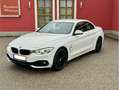 BMW 428 428i xDrive Cabrio Österreich-Paket Aut. Alb - thumbnail 4