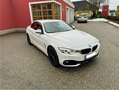 BMW 428 428i xDrive Cabrio Österreich-Paket Aut. Alb - thumbnail 7