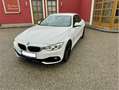 BMW 428 428i xDrive Cabrio Österreich-Paket Aut. Alb - thumbnail 8