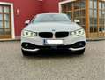 BMW 428 428i xDrive Cabrio Österreich-Paket Aut. Alb - thumbnail 6