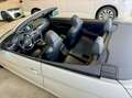 BMW 428 428i xDrive Cabrio Österreich-Paket Aut. Alb - thumbnail 12