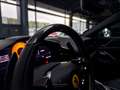 Ferrari Purosangue CARBON/MASSAGE/360/LIFT/PANO Grau - thumbnail 23