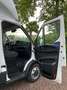 Iveco Daily 35C16 Achterdeuren (15 diverse modellen op voorraa Blanco - thumbnail 22