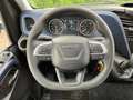 Iveco Daily 35C16 Achterdeuren (15 diverse modellen op voorraa Blanco - thumbnail 26