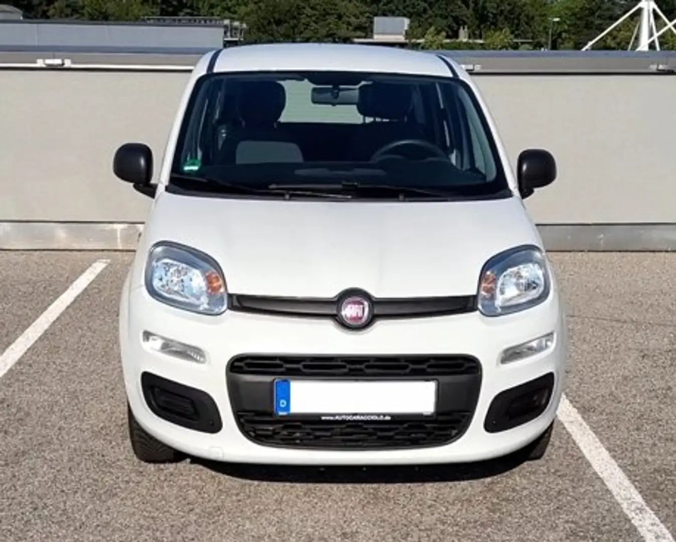Fiat Panda Panda 1.2 EASY KLIMA Weiß - 2