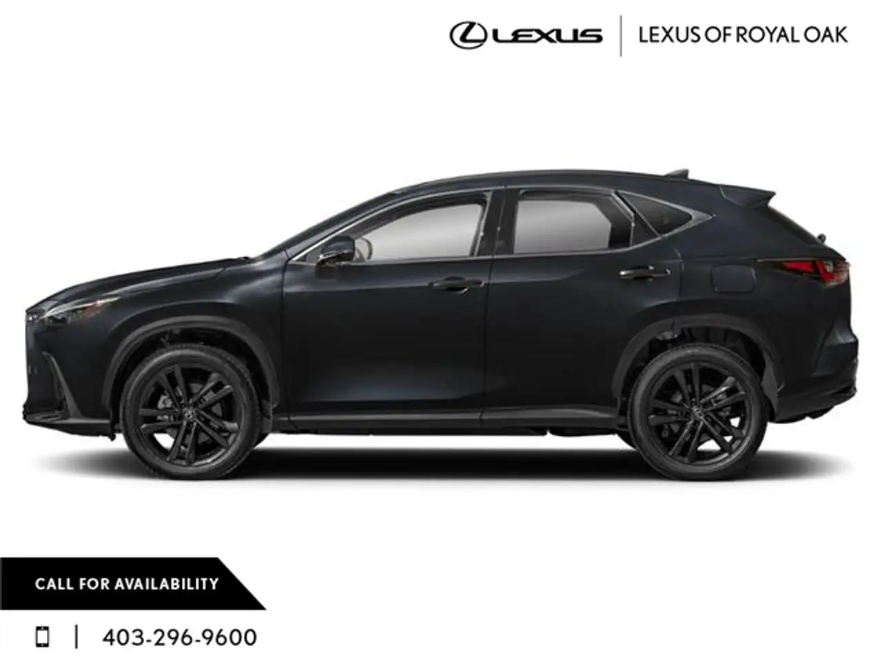 Lexus NX снимка Lexus NX