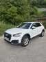 Audi Q2 basis Weiß - thumbnail 1