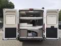 Etrusco Campervan Fiat 24 CV600BB | Complete Selection ... Weiß - thumbnail 9