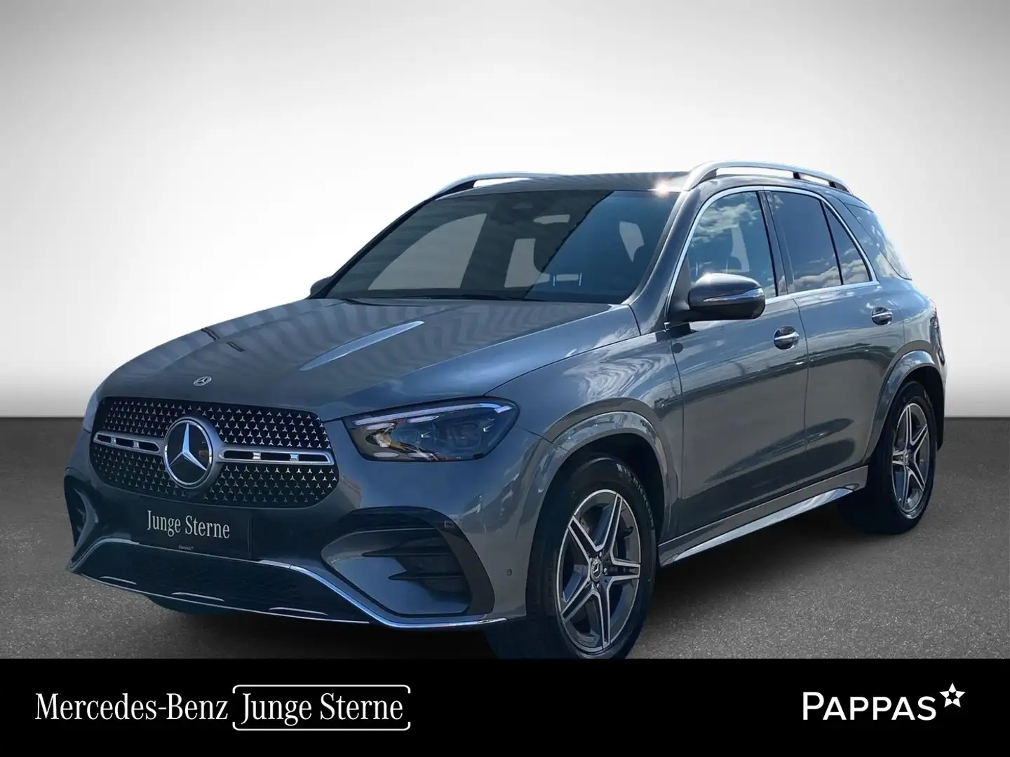 Mercedes-Benz GLE 300 d 4MATIC Navi Airm SHZ EASY-PACK Grau - 1