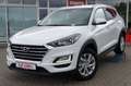Hyundai TUCSON 1.6 GDI AAC Navi SHZ Temp Alu PDC Kam Weiß - thumbnail 2