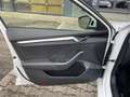 Skoda Octavia Combi Style 2.0 TDI 110kW DSG Bianco - thumbnail 9
