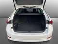 Skoda Octavia Combi Style 2.0 TDI 110kW DSG Bianco - thumbnail 4