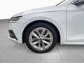 Skoda Octavia Combi Style 2.0 TDI 110kW DSG Bianco - thumbnail 8