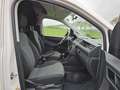 Volkswagen Caddy MAXI 2.0 tdi Bianco - thumbnail 7