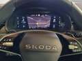 Skoda Kamiq Selection 1.5 TSI DSG AHK LED Navi Klima Schwarz - thumbnail 12