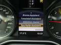 Mercedes-Benz V 250 d  4 MATIC AMG AVANTGARDE Lang 3xeTÜR/LED Weiß - thumbnail 26