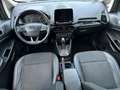 Ford EcoSport Titanium LED Teilleder Schibedach Grau - thumbnail 8