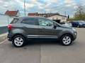 Ford EcoSport Titanium LED Teilleder Schibedach Grau - thumbnail 4