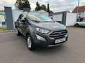 Ford EcoSport Titanium LED Teilleder Schibedach Grau - thumbnail 3
