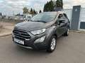 Ford EcoSport Titanium LED Teilleder Schibedach Grau - thumbnail 1