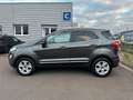 Ford EcoSport Titanium LED Teilleder Schibedach Grau - thumbnail 6