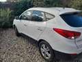 Hyundai iX35 ix35 1.6 2WD blueComfort Wit - thumbnail 2