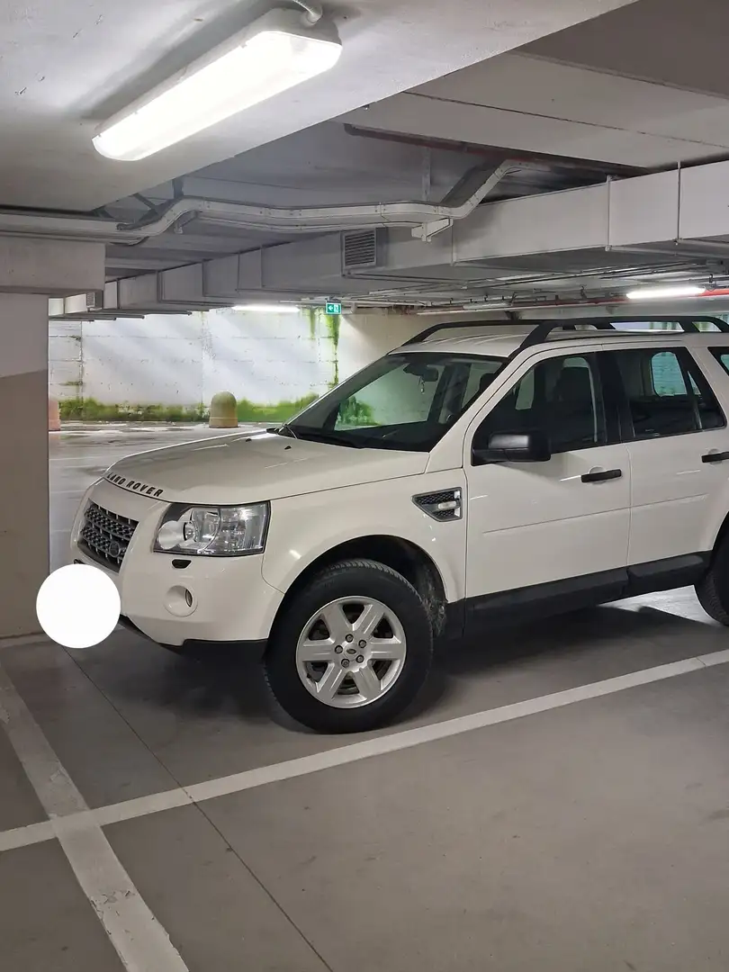 Land Rover Freelander Freelander II 2007 2.2 td4 S Blanco - 2