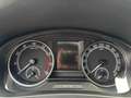 Skoda Rapid/Spaceback Clever 81 kW *NAVI*PDC*SHZ*AHK Blau - thumbnail 9