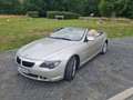BMW 645 645 Ci Cabrio Beige - thumbnail 1