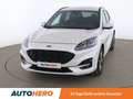 Ford Kuga 2.5 Duratec PHEV ST Line X eCVT Blanc - thumbnail 9