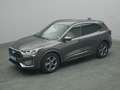 Ford Kuga ST-Line X 186PS Aut./Winter-P./LED -15%* Gris - thumbnail 16