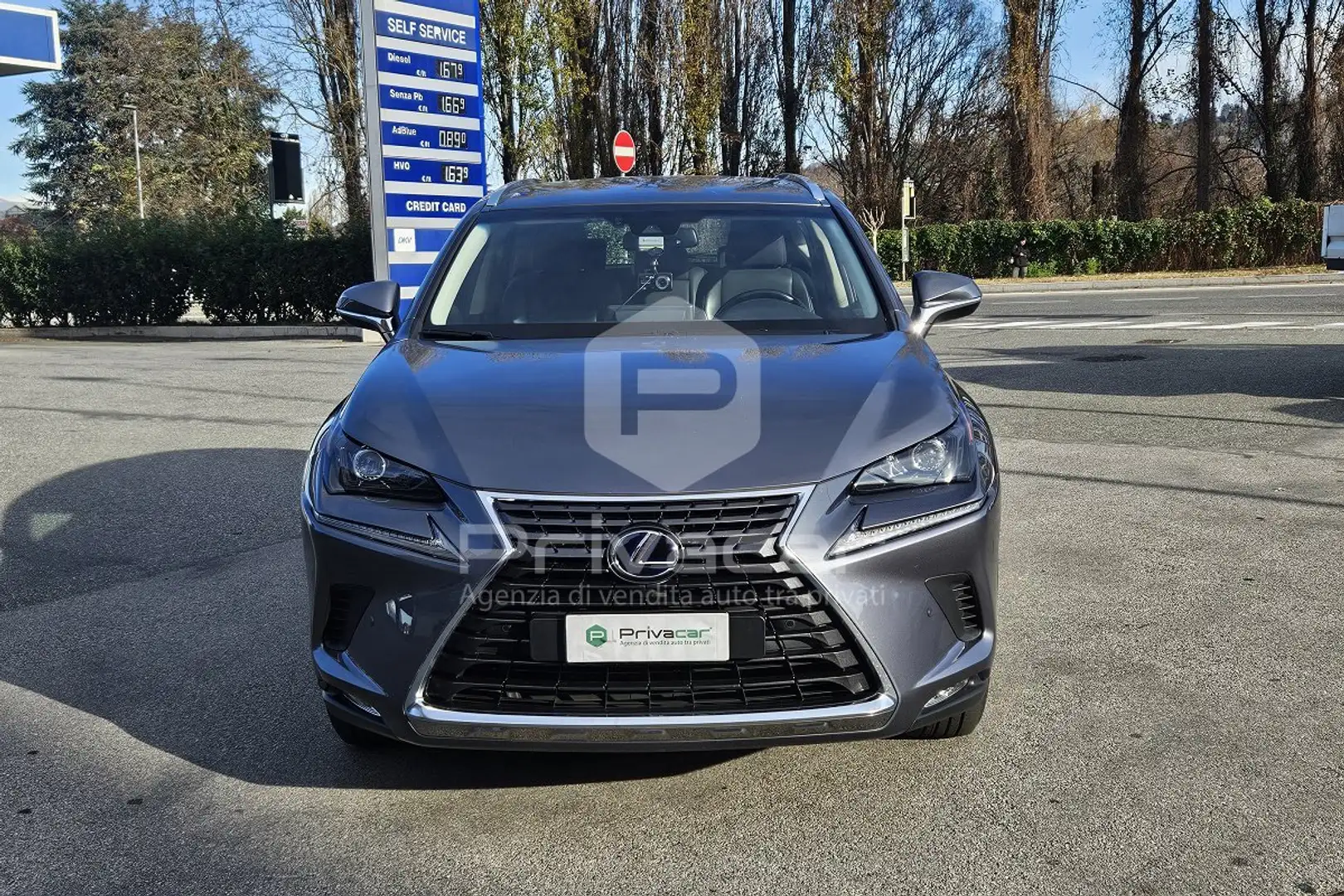 Lexus NX 300h NX Hybrid 4WD Business Argent - 2
