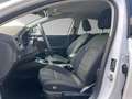 Ford Focus Active 1.0 EcoBoost Mild-Hybrid EU6d Bianco - thumbnail 9