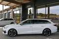 CUPRA Leon SP Kombi Alpha 2.0 TDI DSG 150 ACC, Navi, LED, ... Weiß - thumbnail 2