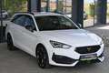 CUPRA Leon SP Kombi Alpha 2.0 TDI DSG 150 ACC, Navi, LED, ... Weiß - thumbnail 29
