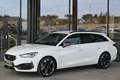 CUPRA Leon SP Kombi Alpha 2.0 TDI DSG 150 ACC, Navi, LED, ... Weiß - thumbnail 30