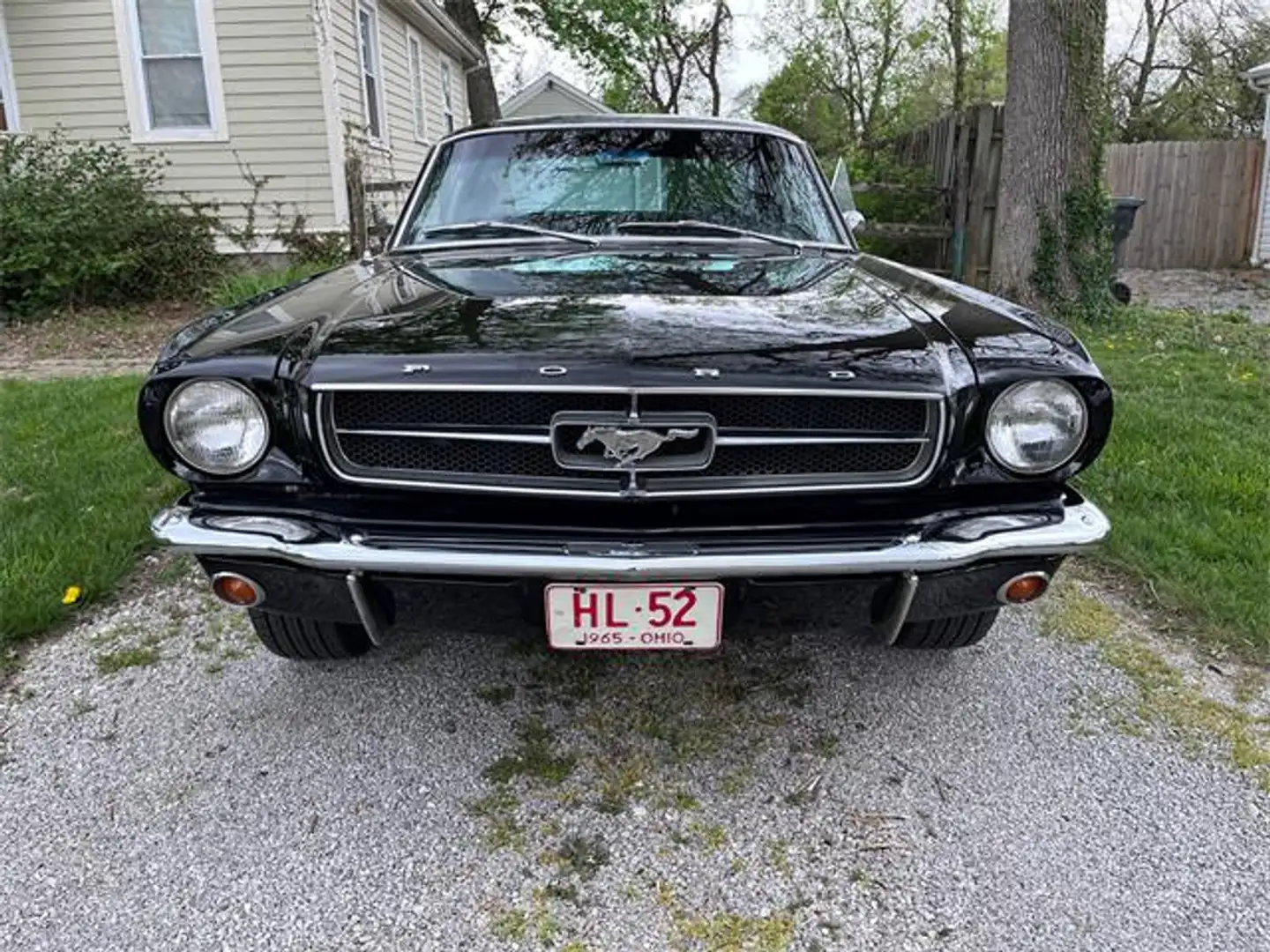 Ford Mustang FASTBACK 1965 - 1