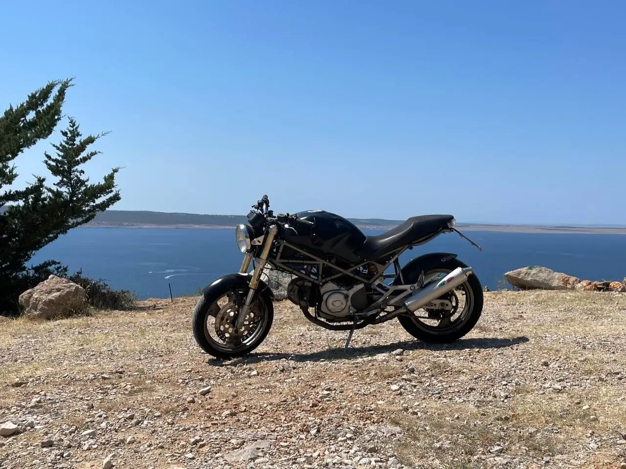 Ducati Monster 600